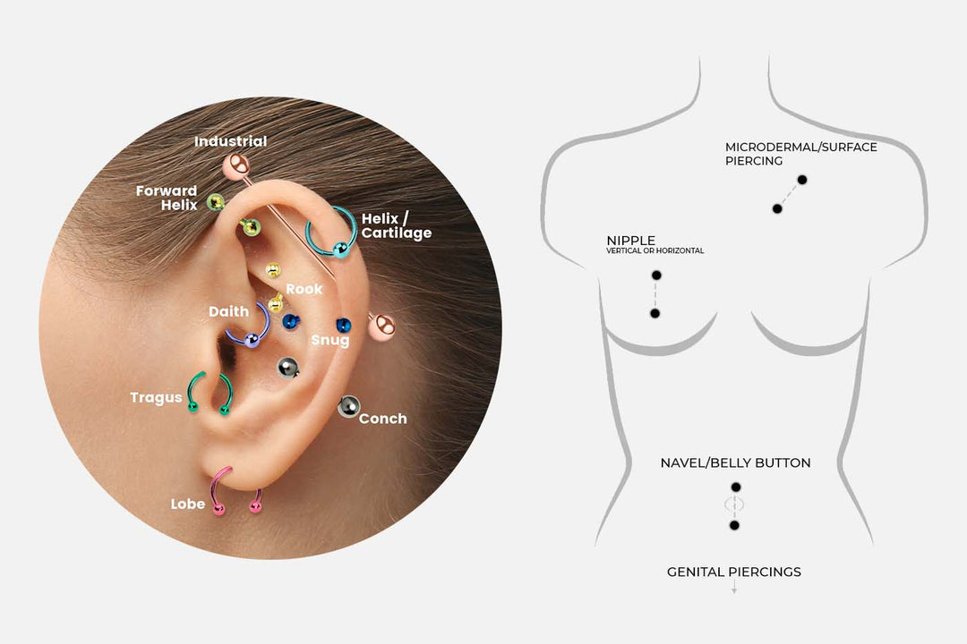 From Ear to Navel: Exploring the Most Popular Body Jewelry Placements